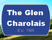 The Glen.gif
